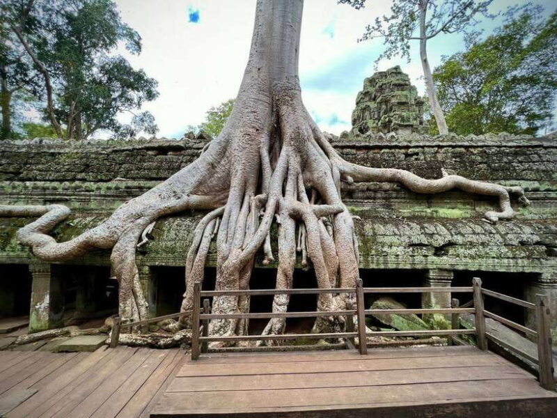 1 Day Private of Angkor Wat Tour with Tuk Tuk - The Sum Up