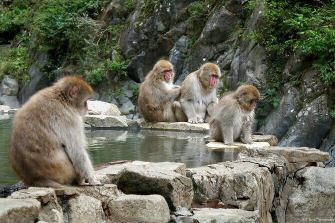 1-Day Private Snow Monkey ZenkoJi Temple & SakeTasting NaganoTour - Who Should Consider This Tour?