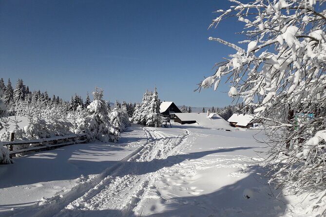 1-day Private Snowshoe Hike in the Gorce Mountains near Krakow - A Snowy Escape Near Krakow: 1-Day Private Snowshoe Hike in the Gorce Mountains