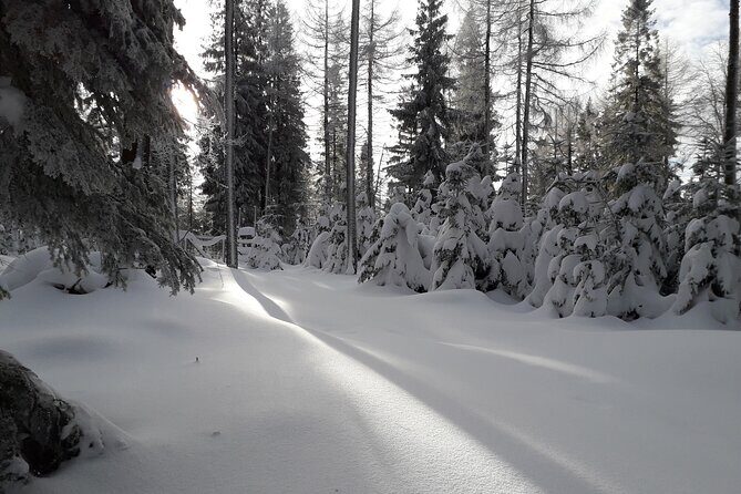 1-day Private Snowshoe Hike in the Gorce Mountains near Krakow - Exploring the Gorce Mountains: What to Expect