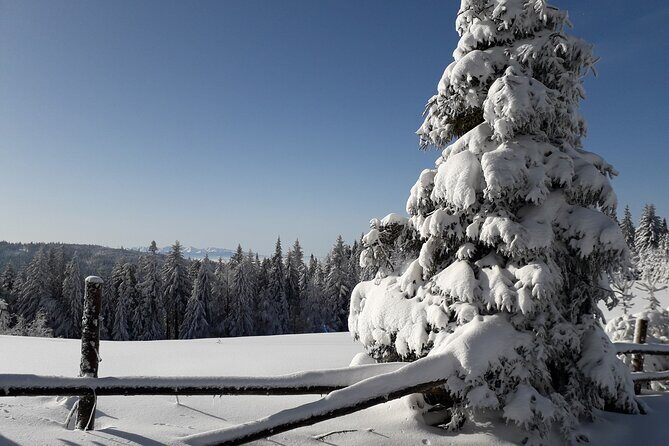 1-day Private Snowshoe Hike in the Gorce Mountains near Krakow - Equipment and Practicalities: What You Need to Know