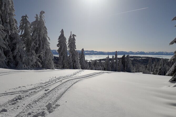 1-day Private Snowshoe Hike in the Gorce Mountains near Krakow - Who Will Appreciate This Tour?