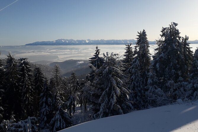 1-day Private Snowshoe Hike in the Gorce Mountains near Krakow - The Sum Up