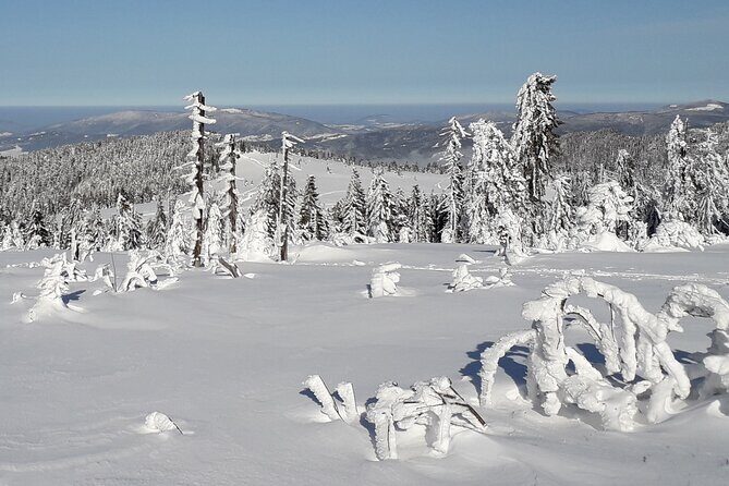 1-day Private Snowshoe Hike in the Gorce Mountains near Krakow - FAQ