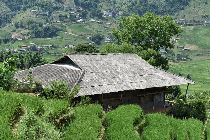1-Day Private Trekking in Sapa through Terraces Rice Fields - Final Thoughts: Is This Tour Worth It?