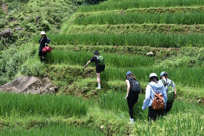 1-Day Private Trekking in Sapa through Terraces Rice Fields - FAQ