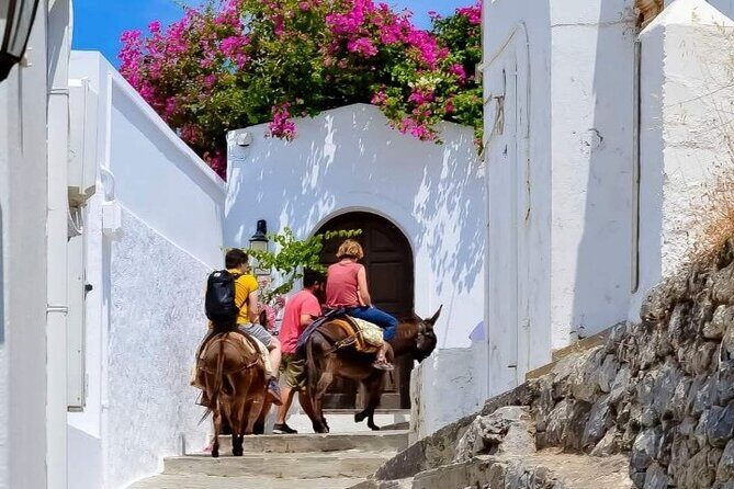 1 Day Rhodes Island Tour with Olive Oil, Honey and Wine Tasting - FAQ: Practical Questions About the Rhodes Tour