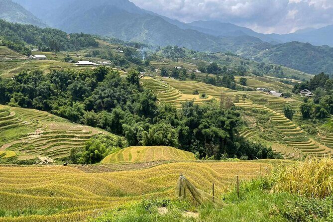 1 Day Sapa Authentic Trekking ( off beaten track ) - Final Thoughts: Who Will Love This Tour?