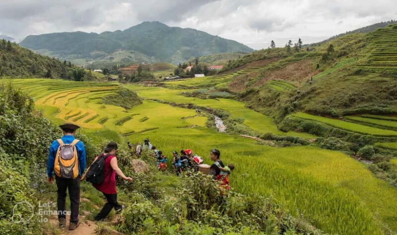 1-Day Sapa Long Trek - Rice Field Terrace, Ethnic Culture - Who Will Love This Tour?