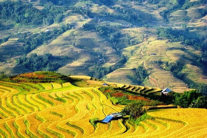 1 Day Sapa Tour Explore Y Linh Ho And Lao Chai And Ta Van Village - FAQ
