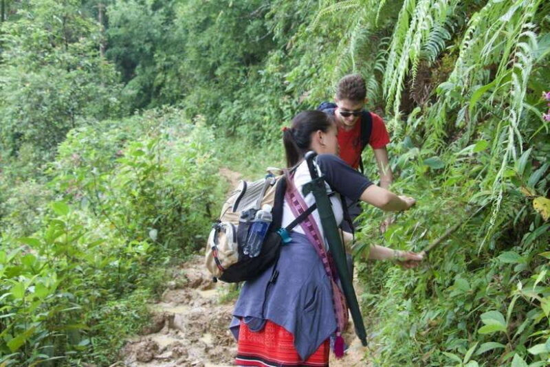 1 Day Sapa Trek&Home-cooked Lunch HmongSisterHouse&Trekking - Who Should Consider This Tour?