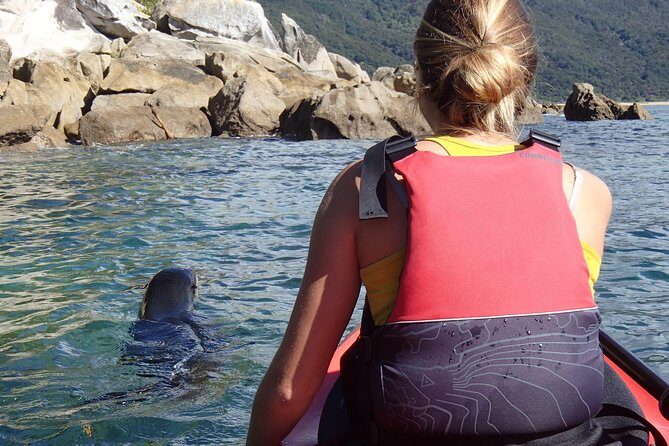 1 Day Sea Kayak Rental - The Sum Up