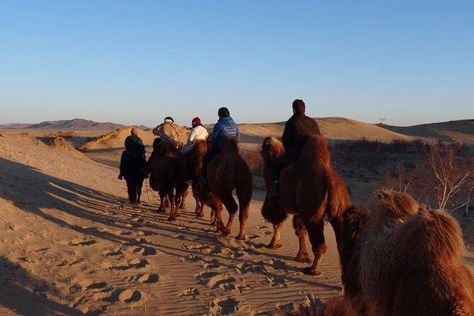 1 Day Semi-Gobi All-included tour - Why This Tour Offers Great Value