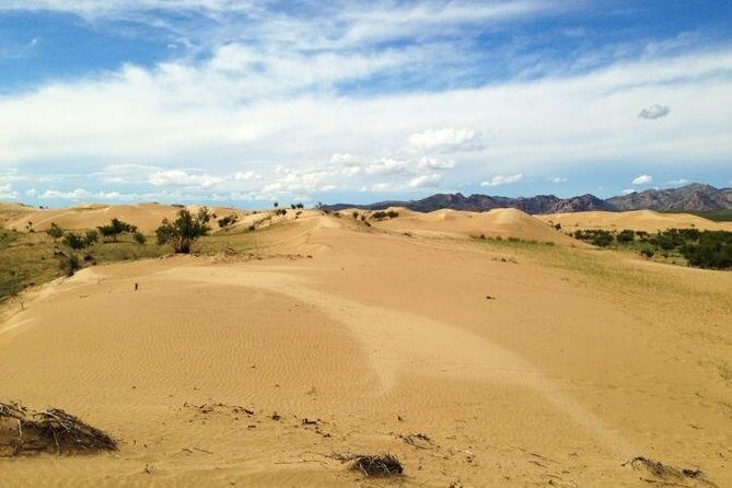 1 Day Semi-Gobi Tour Including Lunch And Free Camel +Bonus Khustai National Park - Final Thoughts: Is This Tour for You?