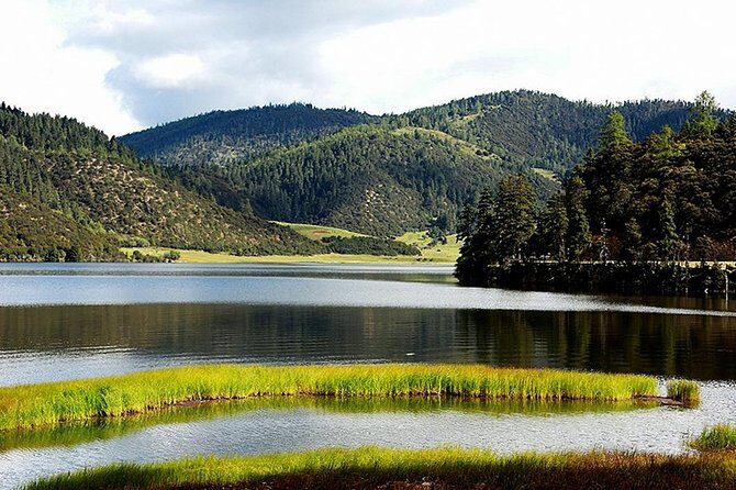 1 Day Shangri-la City Tour with Pudacuo National Park - A Detailed Look at the Tour Experience