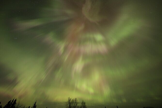 1 Day Shared Tour Arctic Circle and Aurora Viewing in Alaska - Key Points