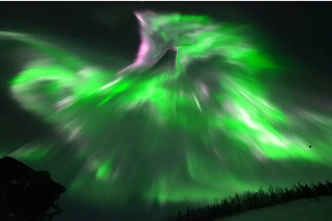 1 Day Shared Tour Arctic Circle and Aurora Viewing in Alaska - In-Depth Review of the Arctic Circle and Aurora Tour