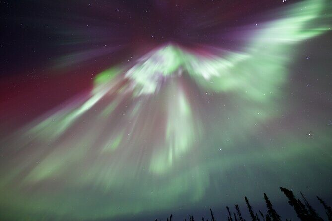 1 Day Shared Tour Arctic Circle and Aurora Viewing in Alaska - FAQ