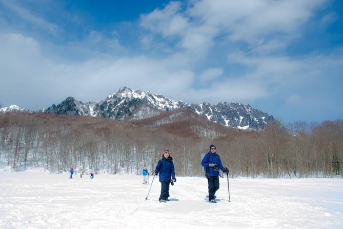 1 Day Ski Tour Package Easy Departure from Nagano Station - Key Points
