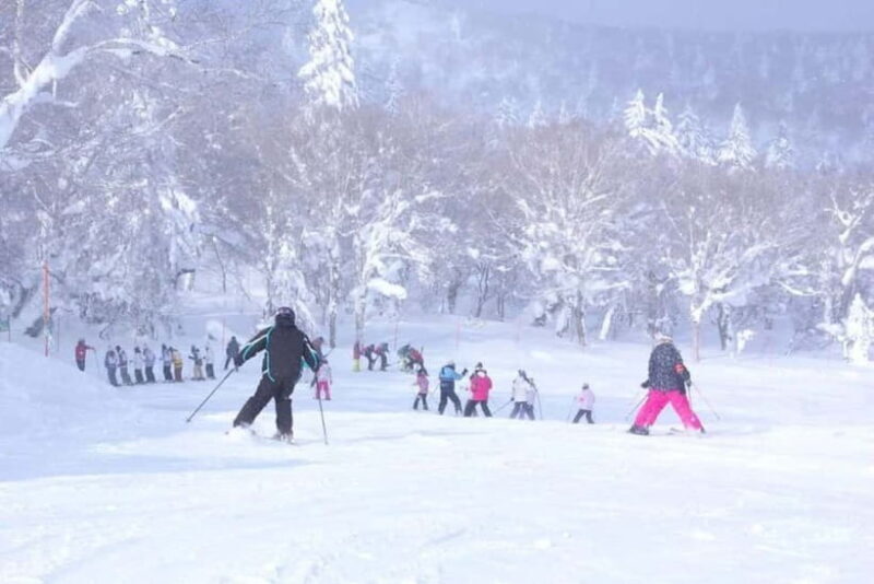 1-Day Ski Tour Package from Sapporo Station - A Practical Look at the 1-Day Ski Tour from Sapporo Station