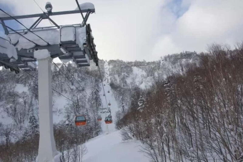 1-Day Ski Tour Package from Sapporo Station - Who Will Love This Tour?