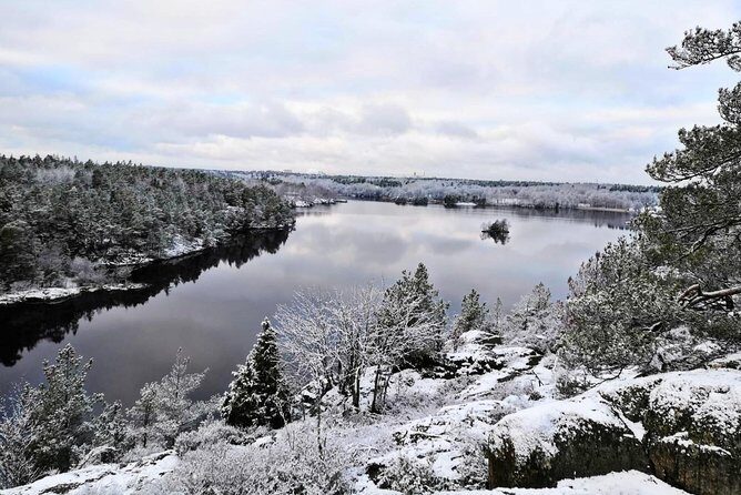 1-Day Small-Group Stockholm Nature Hiking - An Honest Look at the Stockholm Nature Hike