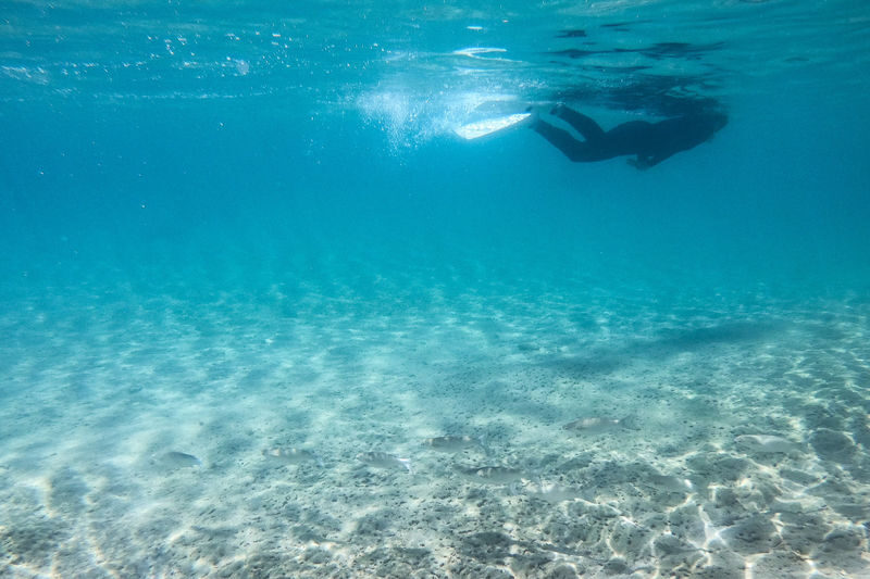 1 Day Snorkel Diver License Course in Okinawa - What the CMAS card does, and does not, promise