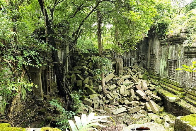 1 day special Tour: Angkor Wat,Bayon,Ta Prohm, Bantey srei and Beng Mealea - Key Points