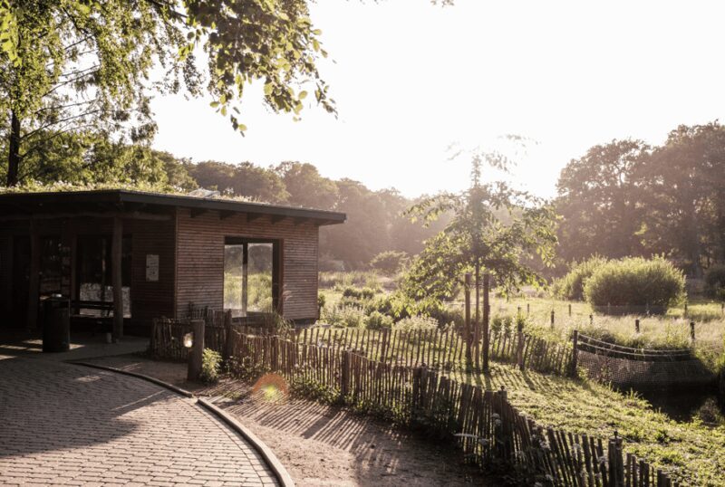 1-day ticket for Schwerin Zoo - A Day at Schwerin Zoo: An Authentic Animal Experience in Mecklenburg-Vorpommern