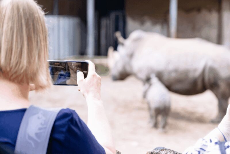 1-day ticket for Schwerin Zoo - Who Will Love Schwerin Zoo?