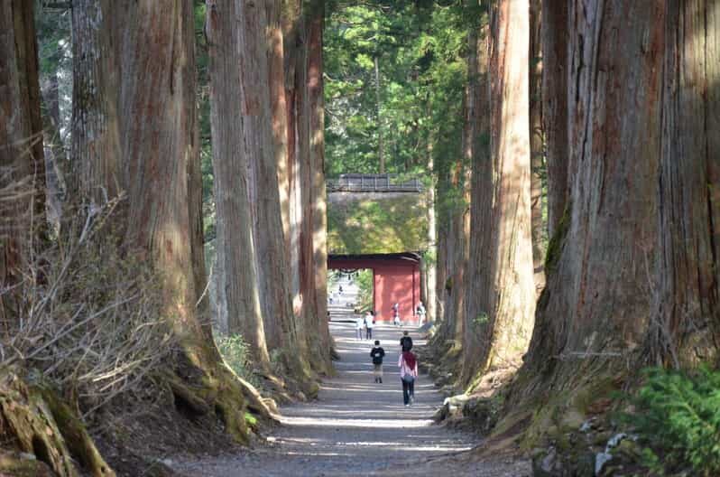 1-Day Togakushi: Soba making, Ninja Town and Hidden Shrines - Key Points