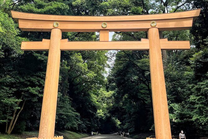 1-Day Tokyo Bus Tour - Key Points