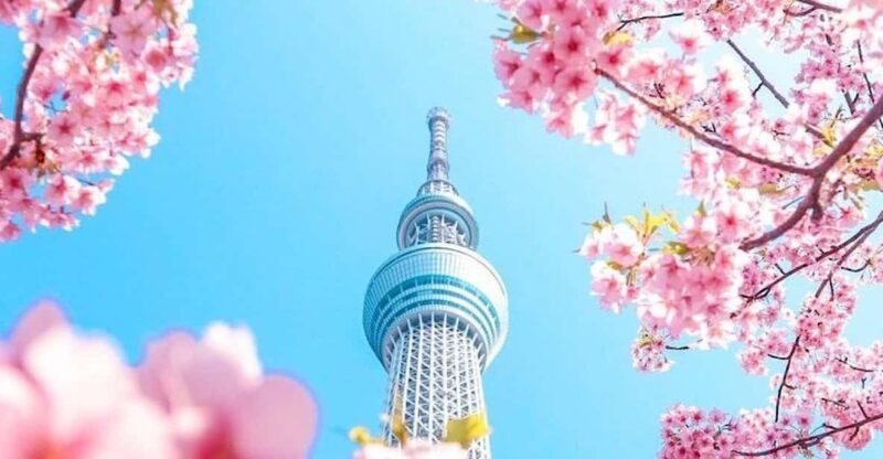 1-Day Tokyo Private Customizable Day Tour with a Guide - A Deep Dive into the Experience