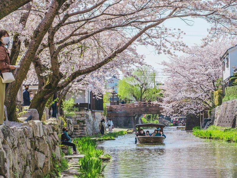 1-Day Tour: Castles & Canals in Hikone & Omi Hachiman (from Nagoya) - A full day from Nagoya to Shiga