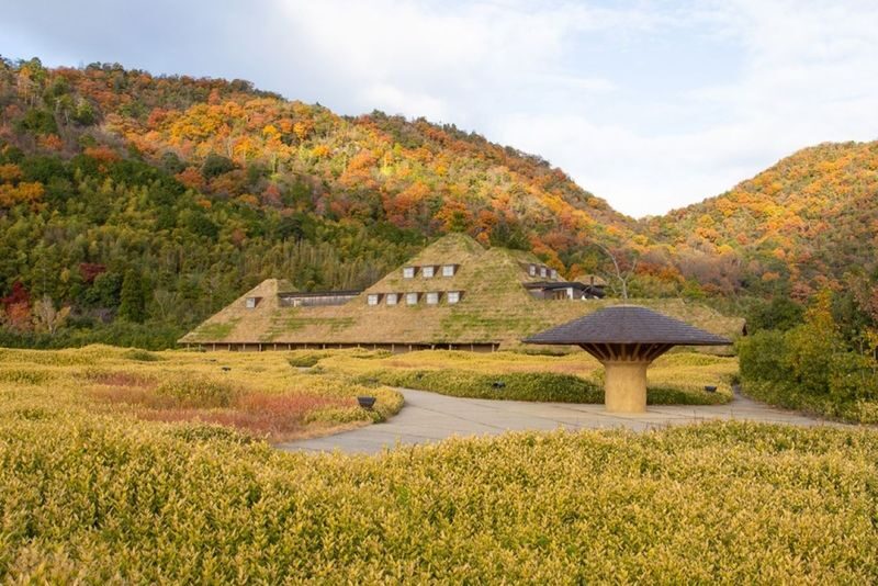 1-Day Tour: Castles & Canals in Hikone & Omi Hachiman (from Nagoya) - Matcha in Genkyu-en Garden