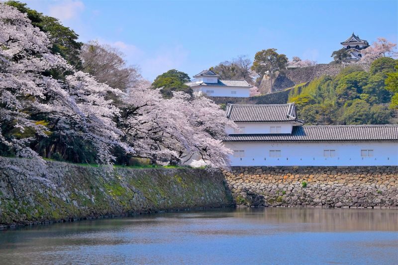 1-Day Tour: Castles & Canals in Hikone & Omi Hachiman (from Nagoya) - The bus ride to Omi Hachiman