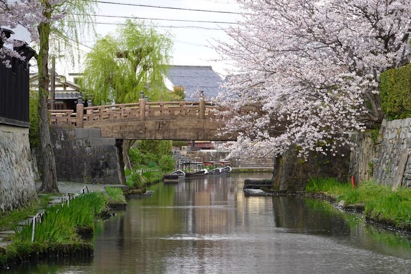 1-Day Tour: Castles & Canals in Hikone & Omi Hachiman (from Nagoya) - What the price covers, and what it does not