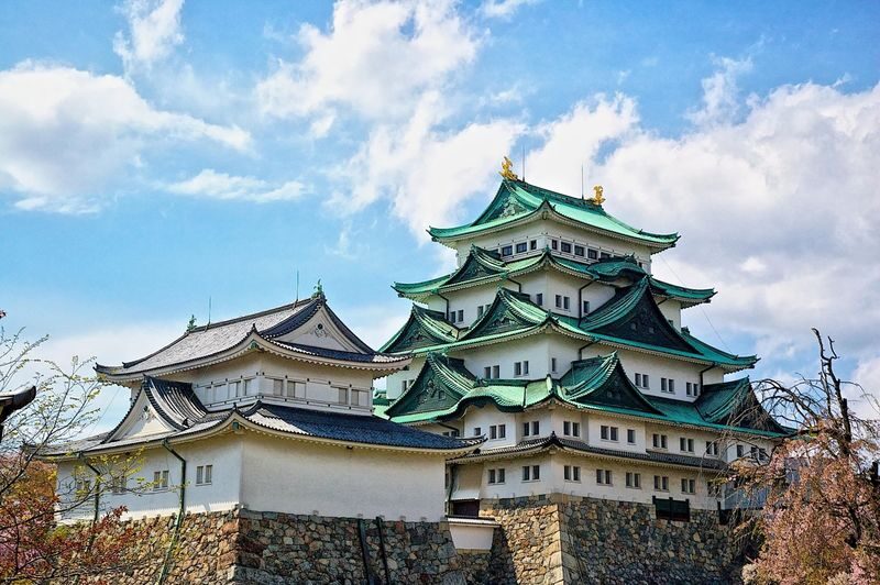 1-Day Tour: Eat Like a Local in Nagoya - A full day built around Nagoya Meshi