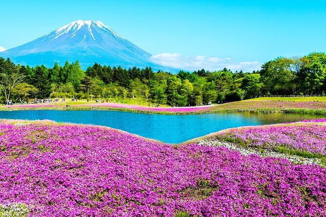 1 Day Tour Explore Nikkos World Heritage and National Park - The Experience: What Travelers Say