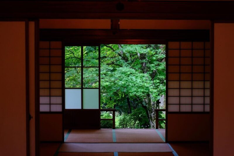 1 Day Tour: Explore Nikkos World Heritage and National Park - The Sum Up: Who Will Love This Tour?