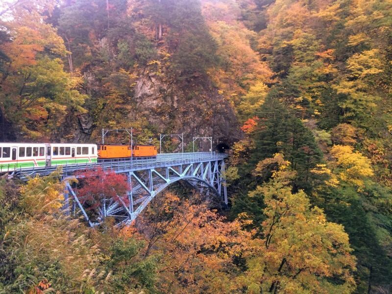 1 Day Tour from Kanazawa: Kurobe Gorge and Unazuki Onsen - The details that make this day worthwhile
