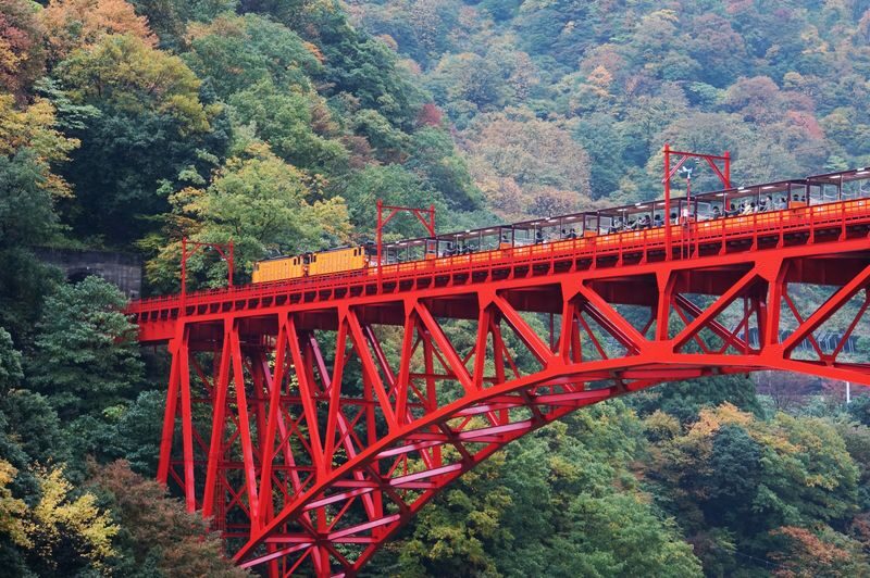 1 Day Tour from Kanazawa: Kurobe Gorge and Unazuki Onsen - The Kurobe Gorge trolley ride