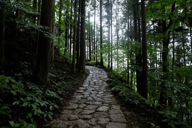 1-Day Tour from Nagoya: Hiking the Historic Nakasendo Trail - Magome: a livelier end to the walk