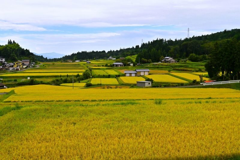 1-Day Tour from Nagoya: Hiking the Historic Nakasendo Trail - Is the price worth it?