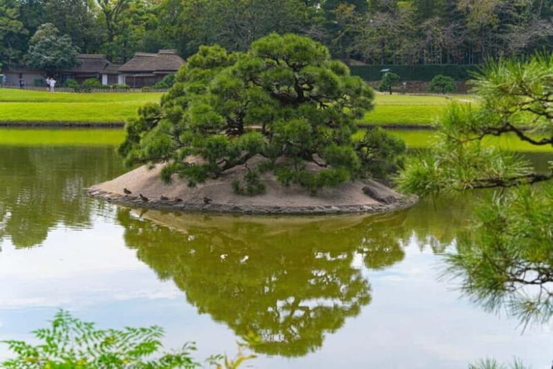 1-Day Tour from Okayama: Kurashiki, Gardens & Okayama Castle - Onward to Kurashiki: Walking Through History