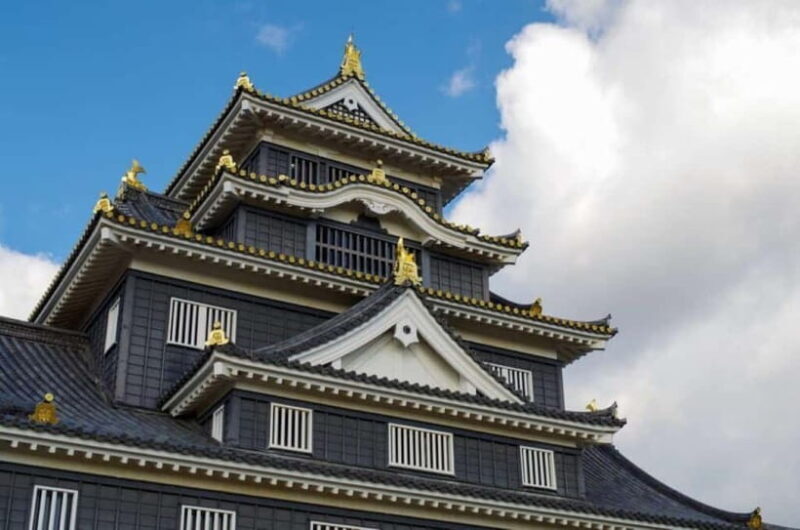 1-Day Tour from Okayama: Kurashiki, Gardens & Okayama Castle - Who Should Consider This Tour?
