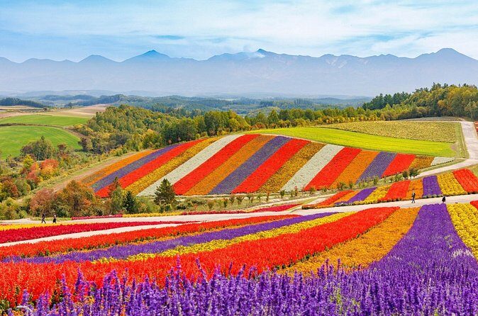 1 Day Tour from Sapporo Blue Pond and Hills of Seasonal Colors - Who Will Love This Tour