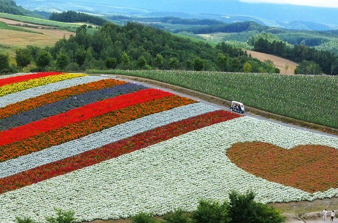 1 Day Tour from Sapporo Blue Pond and Hills of Seasonal Colors - Our Final Thoughts