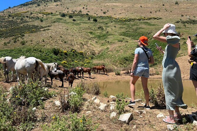 1-Day Tour in Blue Eye, Monastery, Gjirokaster and Lekursi Castle - The Sum Up