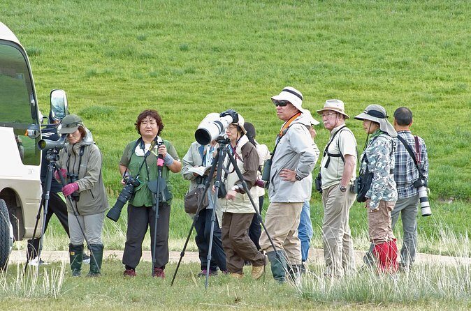 1 Day tour: Khustai National Park: Przewalski's wild horses - Final Thoughts: Is This Tour Worth It?
